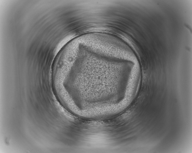 X0000102461050200808291538