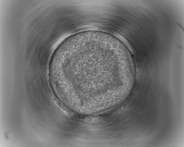 X0000102461051200808291538