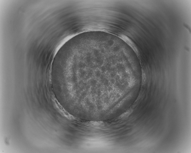 X0000102461052200808291538