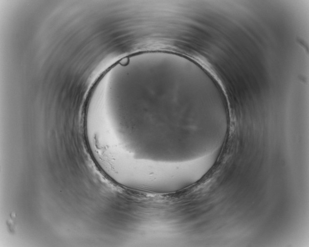 X0000102461053200808291538