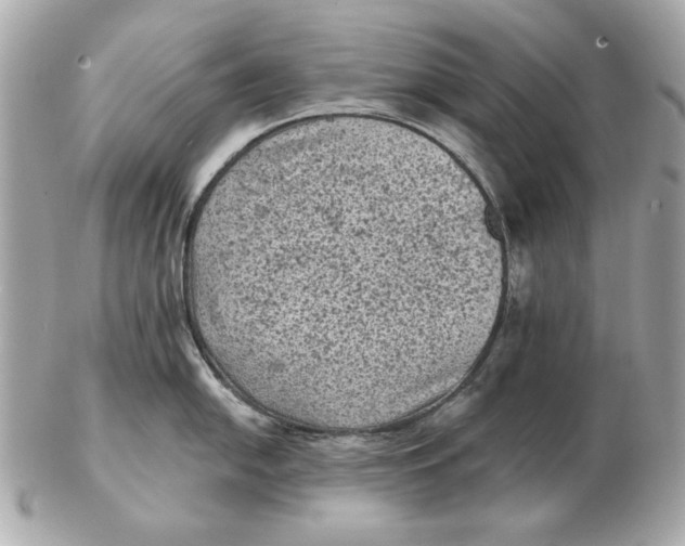 X0000102461054200808291538