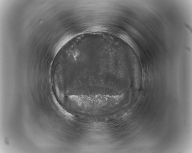 X0000102461055200808291538