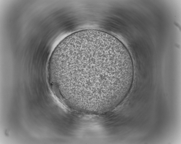 X0000102461056200808291538