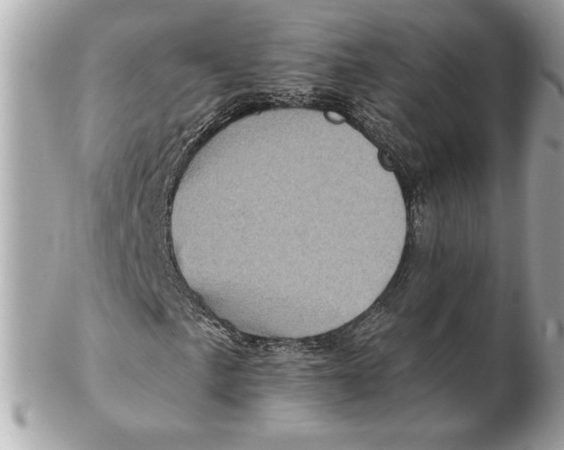 X0000102461057200808291537