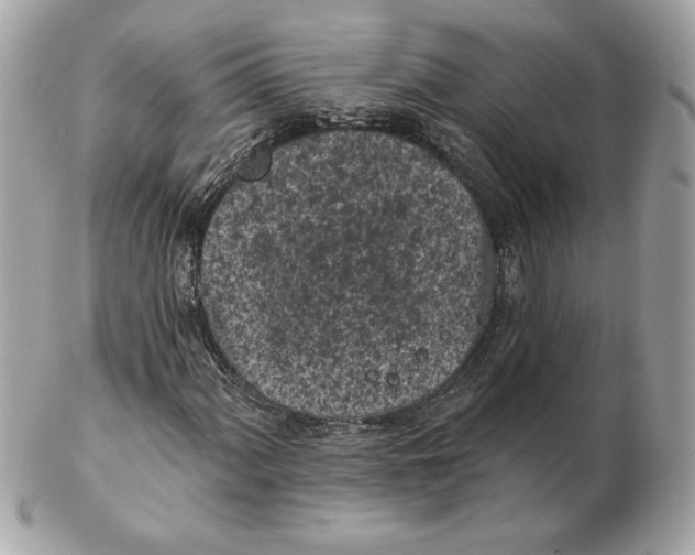 X0000102461060200808291537