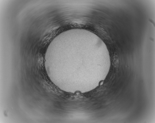 X0000102461061200808291537