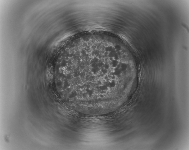 X0000102461063200808291537