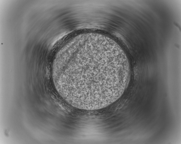 X0000102461064200808291537