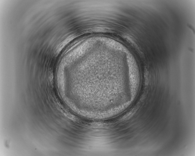 X0000102461065200808291537