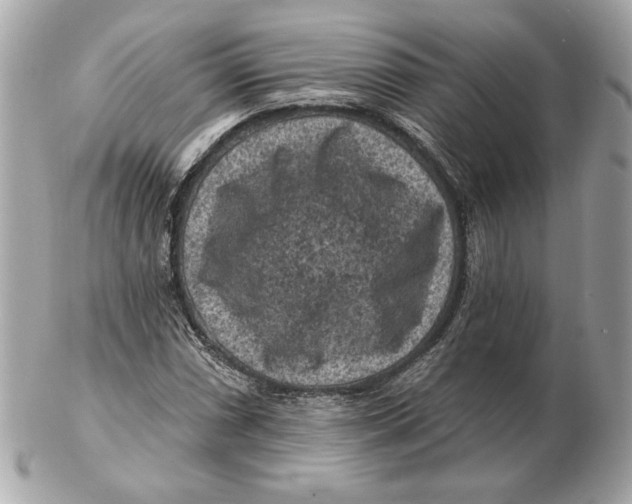 X0000102461066200808291537