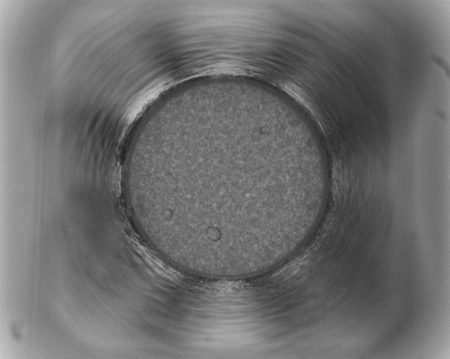 X0000102461067200808291537