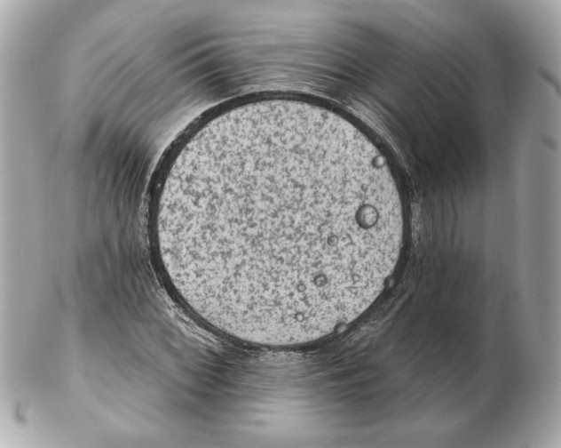 X0000102461068200808291537