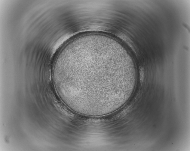 X0000102461069200808291537