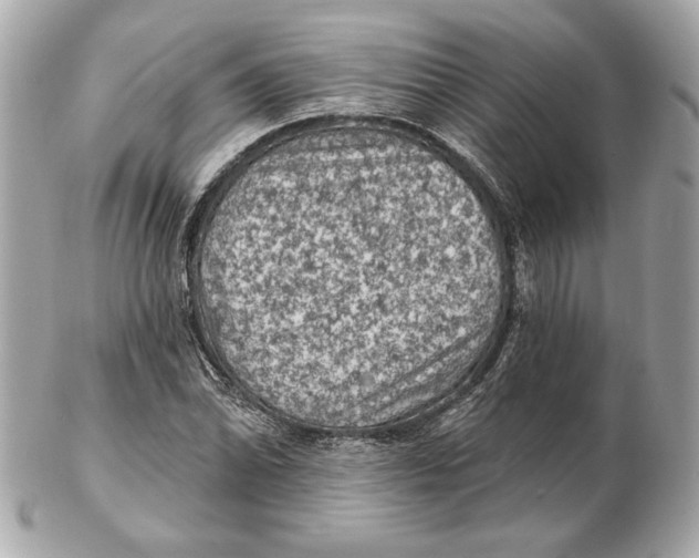 X0000102461070200808291537