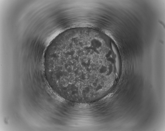 X0000102461071200808291537