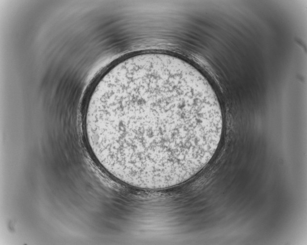 X0000102461072200808291537