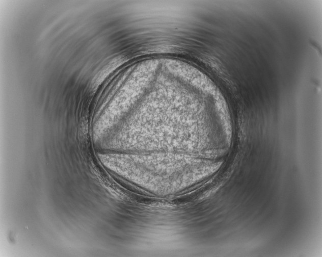 X0000102461073200808291537