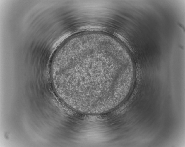 X0000102461074200808291537