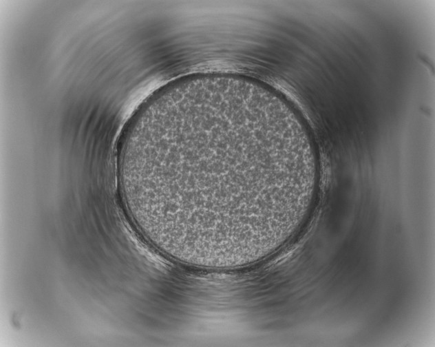 X0000102461075200808291537