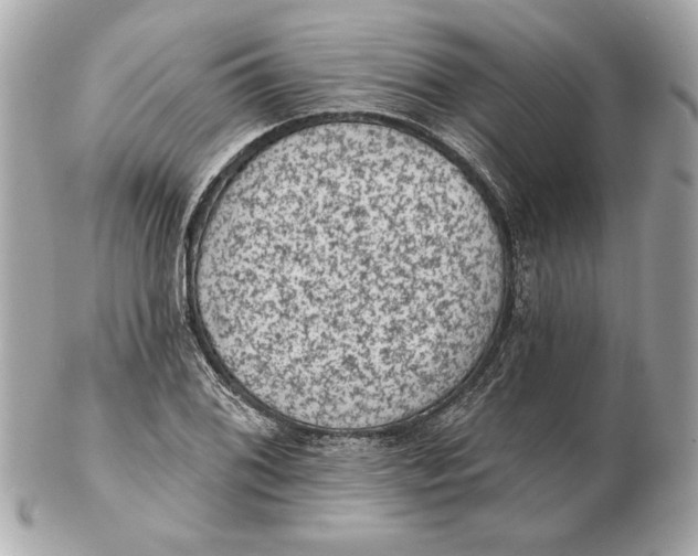 X0000102461076200808291537