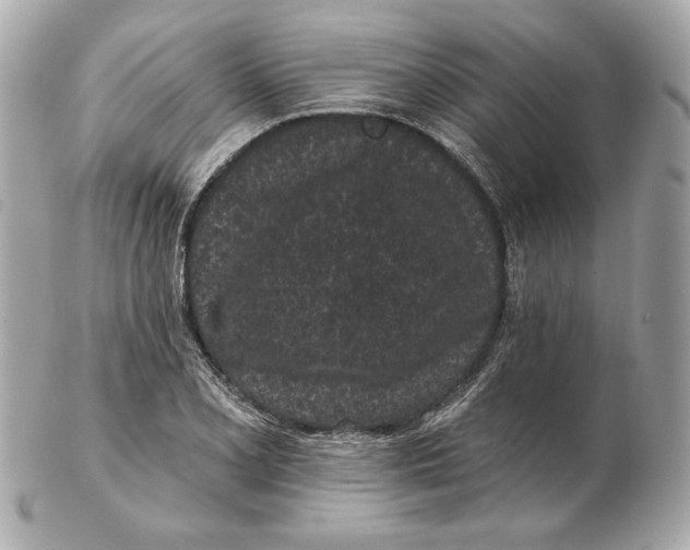 X0000102461077200808291537