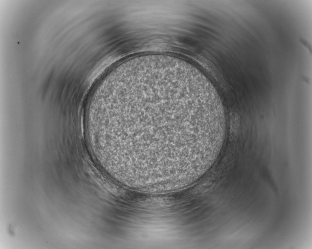 X0000102461078200808291537