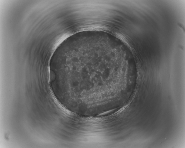 X0000102461079200808291537