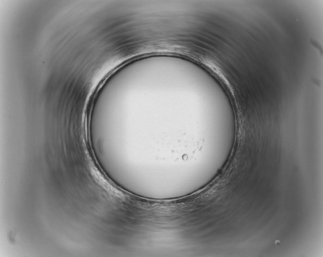 X0000102461080200808291537