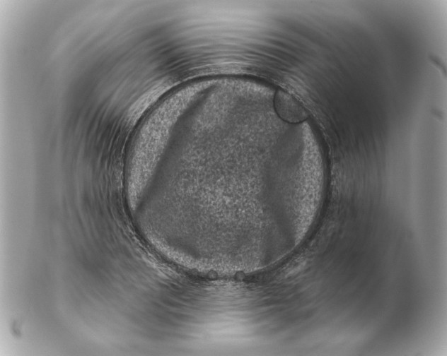 X0000102461081200808291537