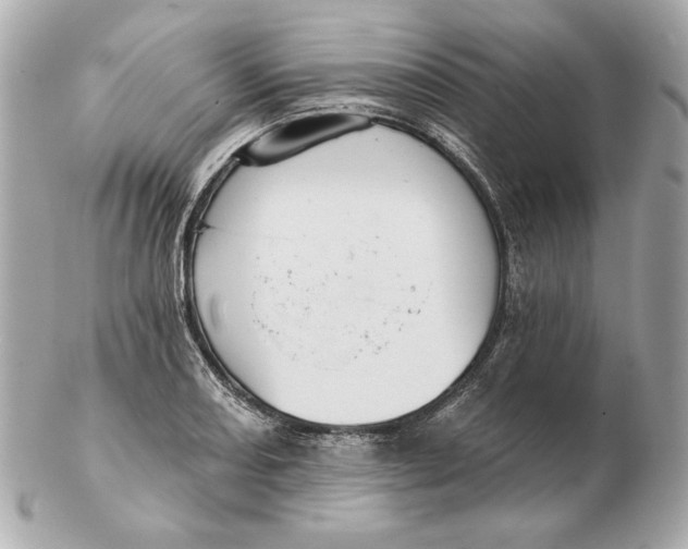 X0000102461082200808291537