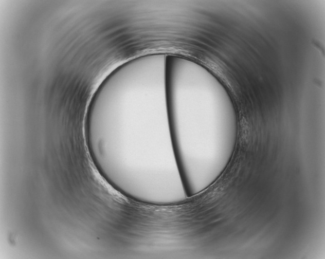 X0000102461084200808291537