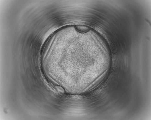 X0000102461085200808291537