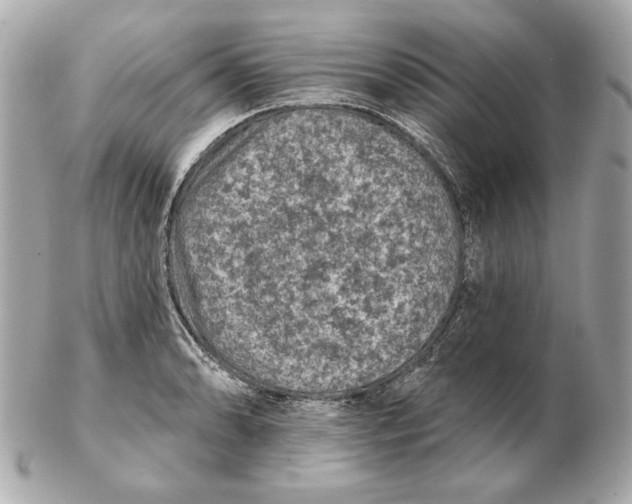 X0000102461086200808291537