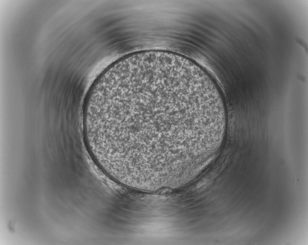 X0000102461088200808291537