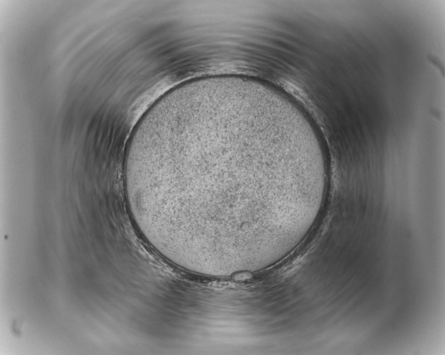 X0000102461089200808291537