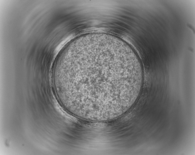 X0000102461090200808291537