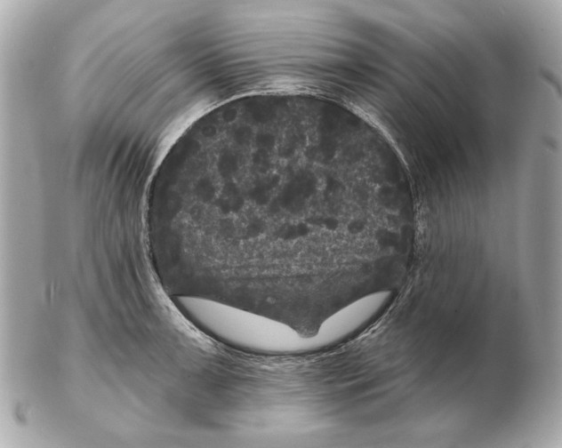 X0000102461091200808291537