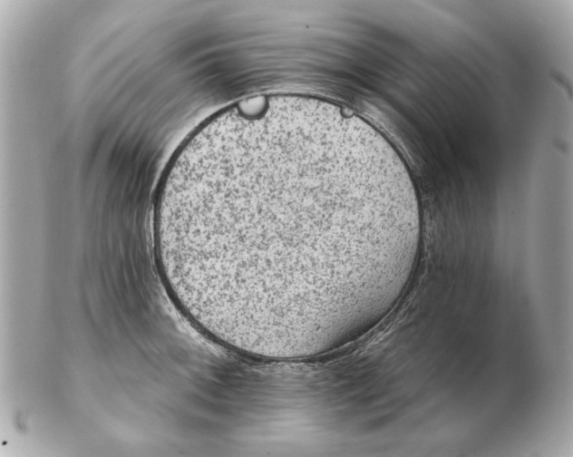 X0000102461092200808291537