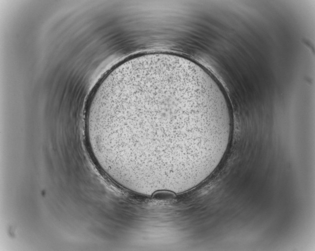 X0000102461093200808291537