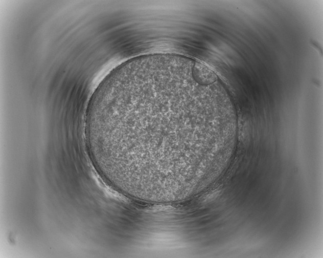 X0000102461094200808291537