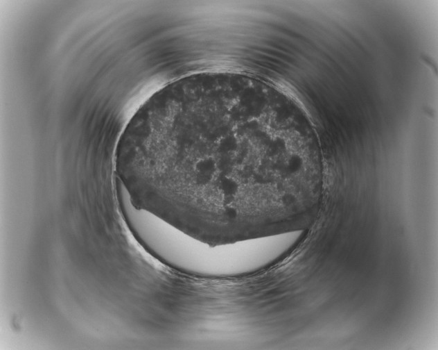 X0000102461095200808291537