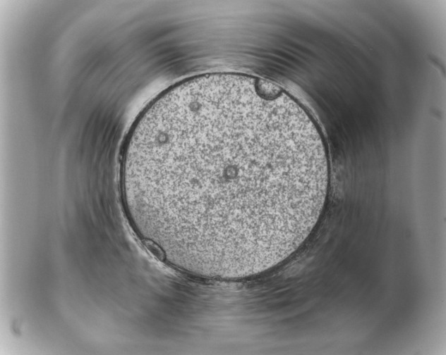 X0000102461096200808291537