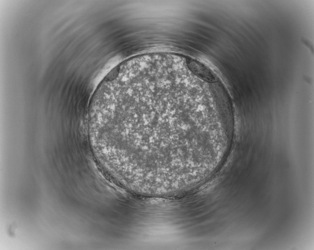 X0000102461097200808291537