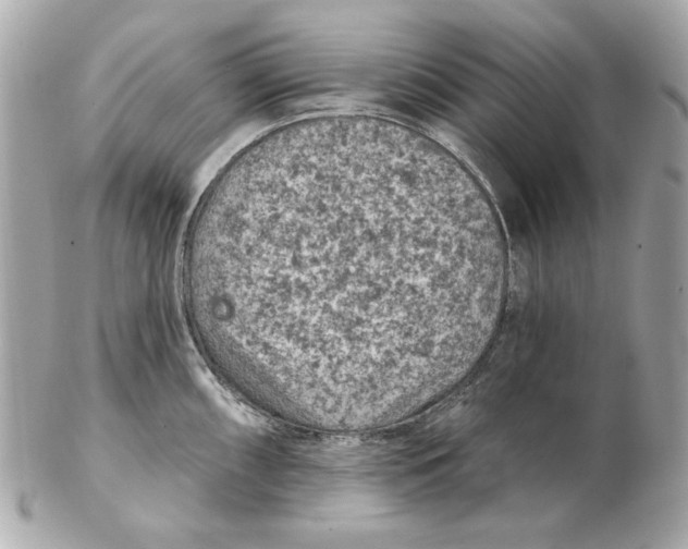 X0000102461098200808291537