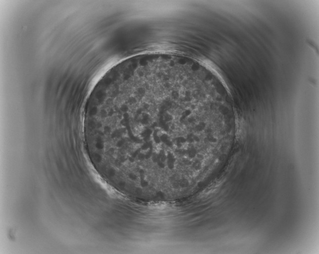 X0000102461099200808291537