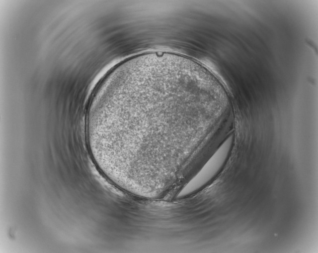 X0000102461100200808291537