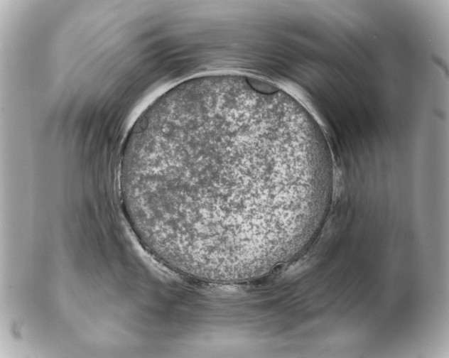 X0000102461101200808291537