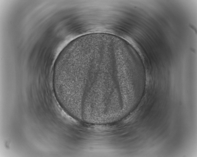 X0000102461102200808291537