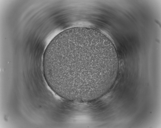 X0000102461103200808291537