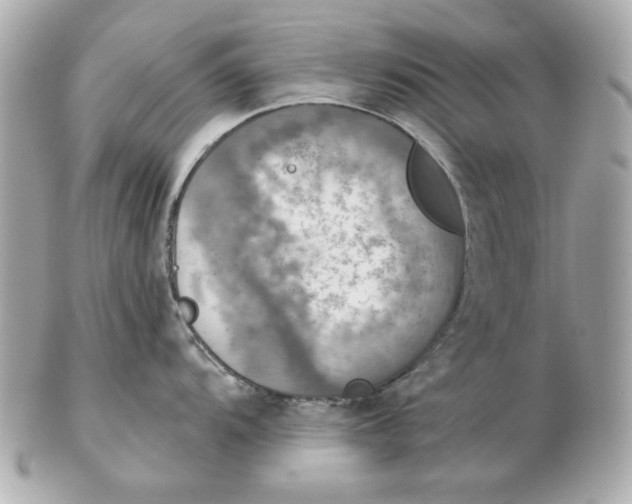 X0000102461104200808291537